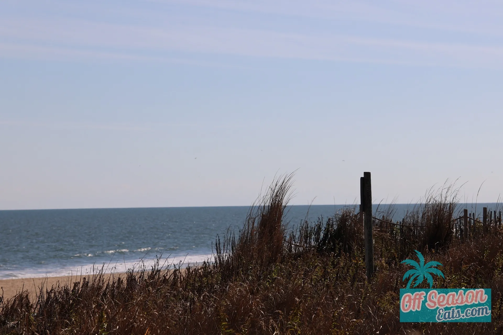 Delaware beach restaurant scene 25